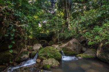 Kathu Şelalesi tropikal orman bölgesinde Asya 'da yürüyüş, doğa yürüyüşü ve yürüyüş için uygun ulusal park Phuket Tayland' ın macera fotoğrafçılığı seyahat ve eğlence için elverişli.