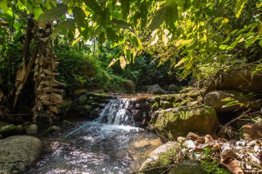Kathu Şelalesi tropikal orman bölgesinde Asya 'da yürüyüş, doğa yürüyüşü ve yürüyüş için uygun ulusal park Phuket Tayland' ın macera fotoğrafçılığı seyahat ve eğlence için elverişli.