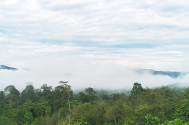 Günaydın sisli arka plan gökyüzü, Altın Dağ 'da güzel bir dağ parlak yeşil, Narathiwat Tayland' da bolca..