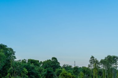 Blue sky with cloud bright Nature forest at. Border, Thailand - Malaysia.
