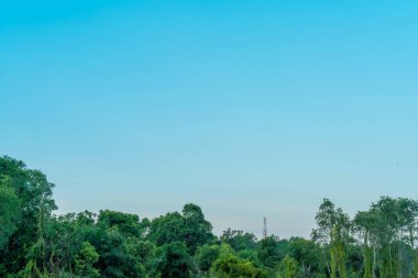 Blue sky with cloud bright Nature forest at. Border, Thailand - Malaysia.