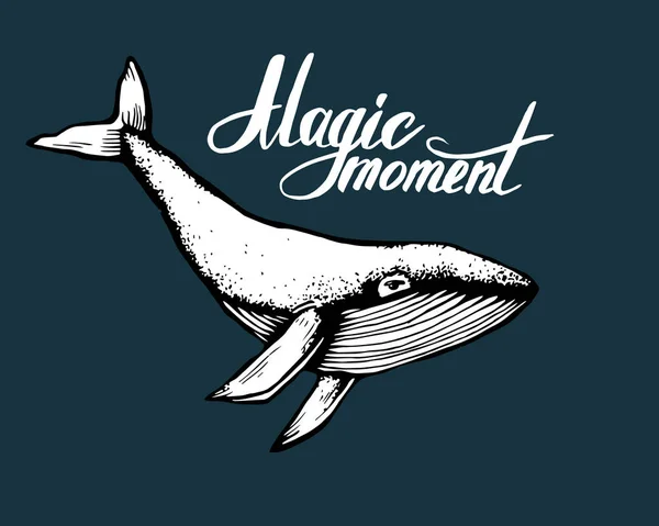 Doodle de ballena dibujado a mano con letras Momento mágico sobre fondo oscuro. Ilustración vectorial - vector de stock . — Vector de stock