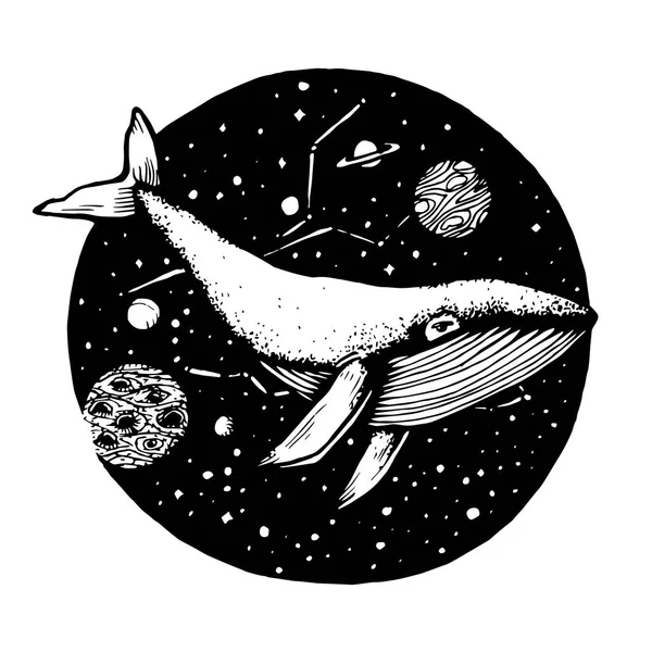 Çizilmiş Doodle Whale uzayda uçar. Vektör çizim - hisse senedi vektör.