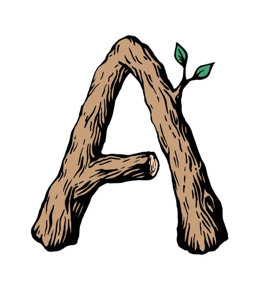Gravure de couleur Lettre A en bois avec des feuilles sur le fond blanc — Image vectorielle