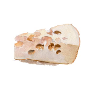 Peynir beyaz arka planda, tarzı çizilmiş suluboya illüstrasyon izole parçası.