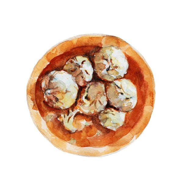 Das tibetische Nationalgericht momos isoliert auf weißem Hintergrund, Aquarell-Illustration im handgezeichneten Stil. — Stockfoto