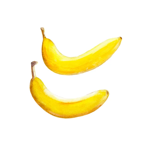 白い背景に分離されたバナナ、水彩イラスト フルーツ手に描画スタイルを設定. — ストック写真