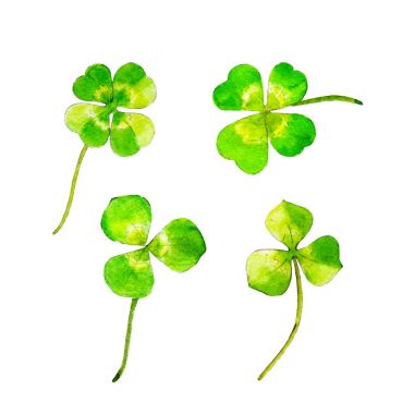 Yonca Saint Patricks Günü, suluboya illüstrasyon izole beyaz arka plan üzerinde çizilmiş tarzı için ayarla.