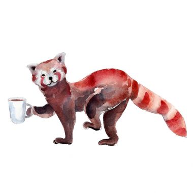 Red panda suluboya çizimi ile kahve, beyaz arka plan üzerinde izole