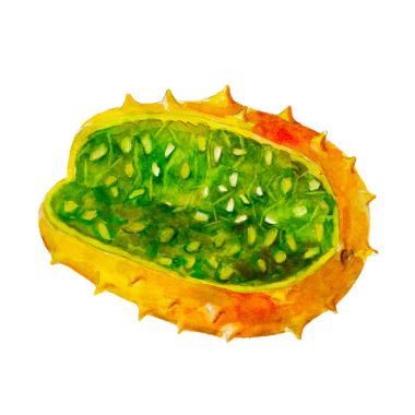 Beyaz arka plan üzerinde suluboya elle çizilmiş illüstrasyon izole Kiwano egzotik meyve.