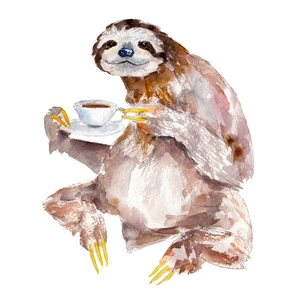 Akwarela ilustracja leniwca filiżankę kawy, izolowana na białym tle — Zdjęcie stockowe