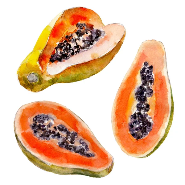 Papaya fruit isolated on white background, watercolor hand drawn illustration. — Stock Photo, Image