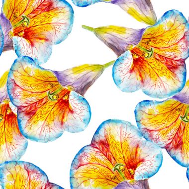 Lily çiçek suluboya seamless modeli. Beyaz arka plan, arka plan, walpaper, tekstil, şal ve etc için çizilmiş tasarım üzerinde izole parlak tropik çiçekler.
