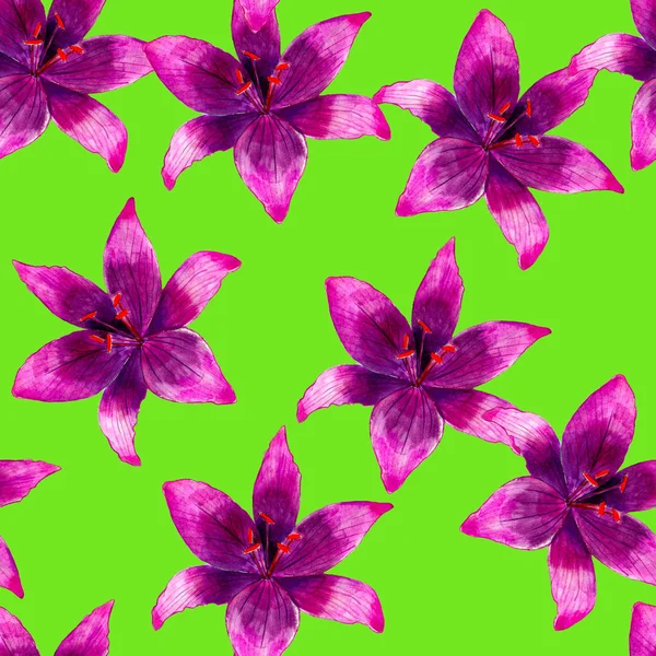 Violet fleur de lys aquarelle motif sans couture. Fleurs tropicales lumineuses isolées sur fond vert, dessin à la main pour l'arrière-plan, papier peint, textile, enveloppe et etc. . — Photo