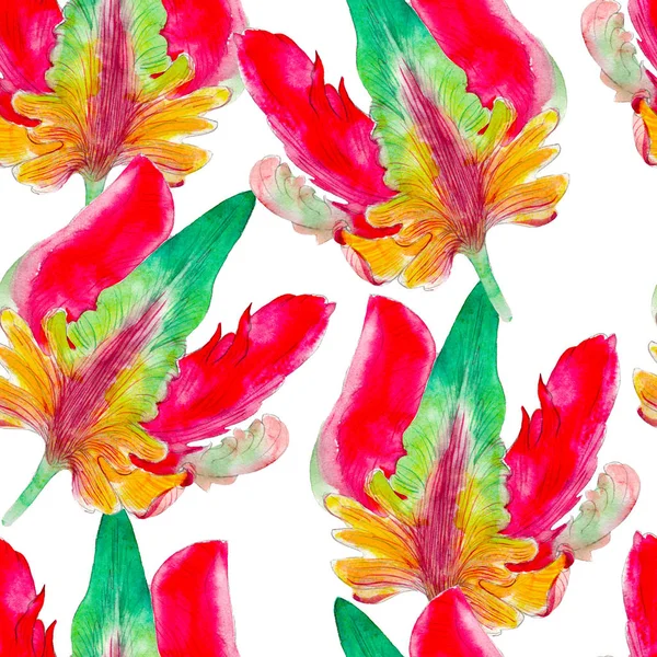 Papegaai tulip aquarel naadloze bloemenpatroon. Heldere tropische bloemen geïsoleerd op een witte achtergrond, handgetekende ontwerp voor achtergrond, behang en textiel, wrap. — Stockfoto