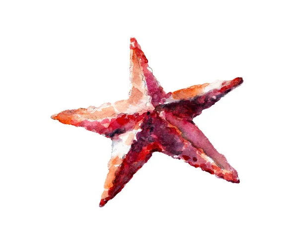 Aquarel illustratie, hand getekende sea star geïsoleerde object op witte achtergrond. — Stockfoto