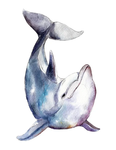Delfín acuarela, ilustración dibujada a mano aislada sobre fondo blanco . —  Fotos de Stock