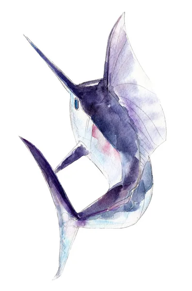 Akvarell svärdfisk, blå marlin, handritade illustration isolerade på vit bakgrund. — Stockfoto
