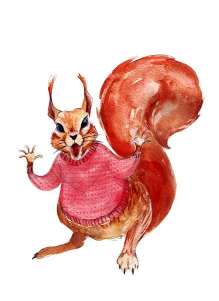 빨간 스웨터 수채화 그림에서 다람쥐, 손으로 그린 빈티지 고립 된 개체를 흰색 배경. — 스톡 사진