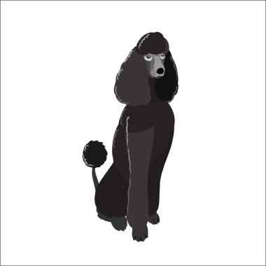 Beyaz arka plan üzerinde vektör çizim köpek izole fino köpeği.