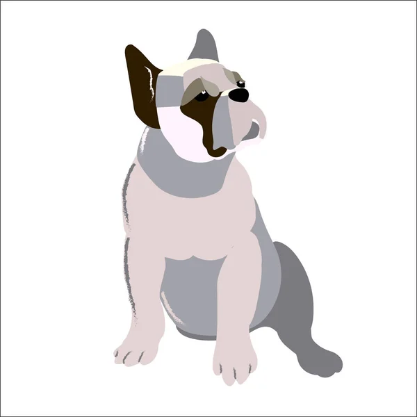 白い背景、ベクトル イラスト犬の分離したブルドッグ. — ストックベクタ