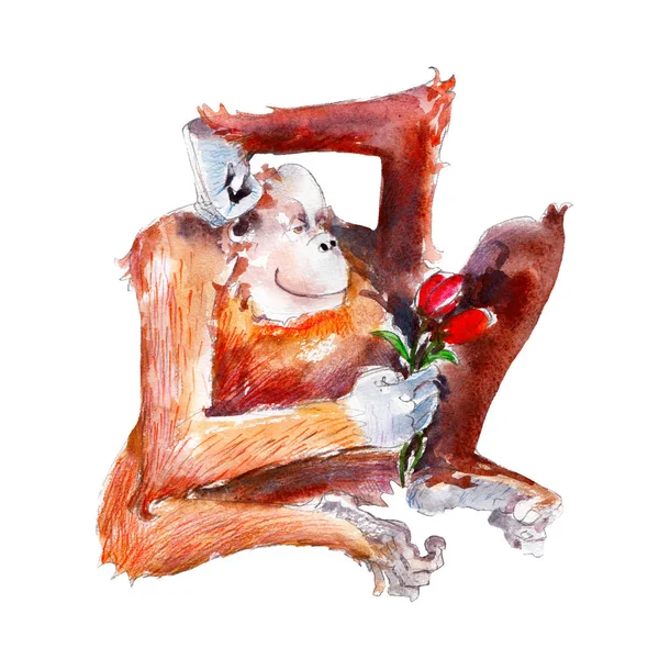 꽃, 손-그린 수채화 동물 illustation 원숭이. 흰색 배경에 고립 된 개체. — 스톡 사진