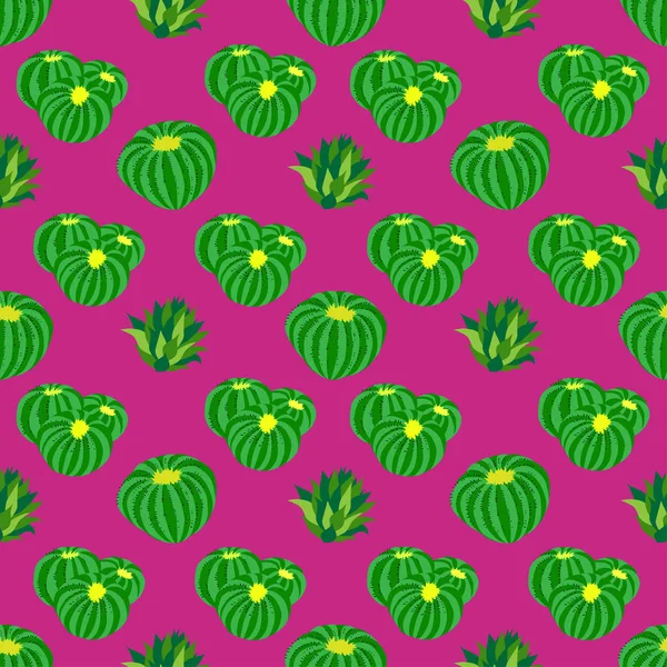 Cactus achtergrond, vector naadloze patroon, geïsoleerd op paarse achtergrond. — Stockvector