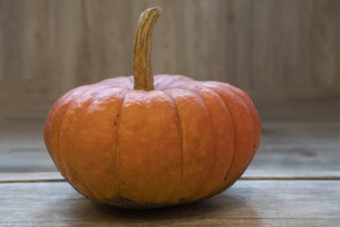 turuncu balkabağı ahşap zeminde yatıyor.