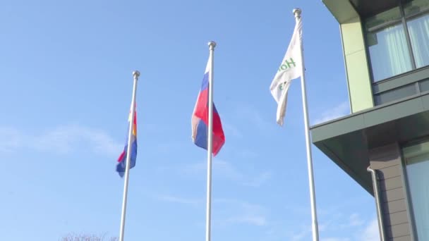 Flags flutter in the wind against the blue sky — Stock Video