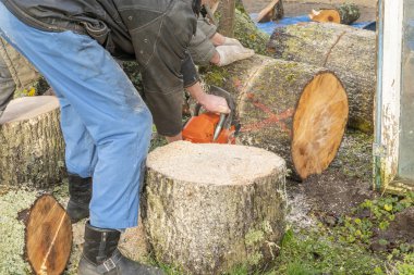 Mavi pantolonlu bir adam elektrikli testereyle tahta testeresi kesiyor.