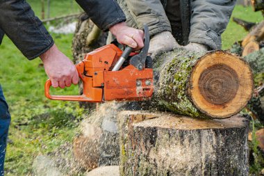 Mavi pantolonlu bir adam elektrikli testereyle tahta testeresi kesiyor.