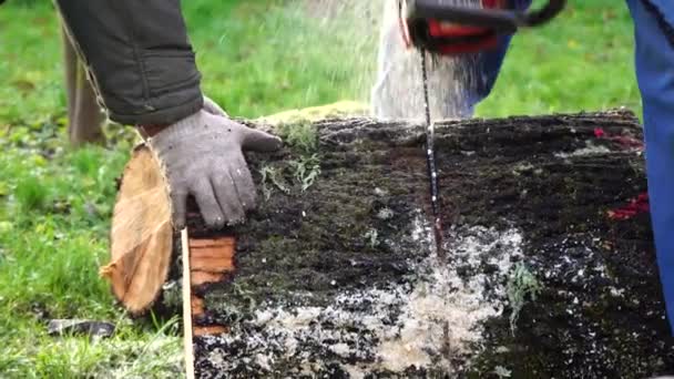 Mannen in een blauw pak zagen hout met een kettingzaag — Stockvideo