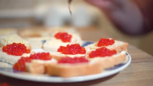 Mano femenina de cerca hace sándwiches con caviar rojo — Vídeos de Stock