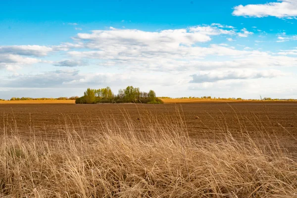 Beautiful green field against the blue sky — Stock Photo, Image