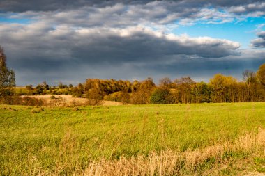 Güzel yeşil tarla mavi gökyüzüne karşı