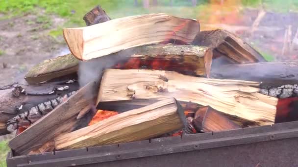 Leña ardiendo en la parrilla de cerca — Vídeos de Stock