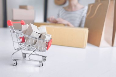 Internet online alışveriş kavramı, genç satıcı kadın p hazırlanıyor