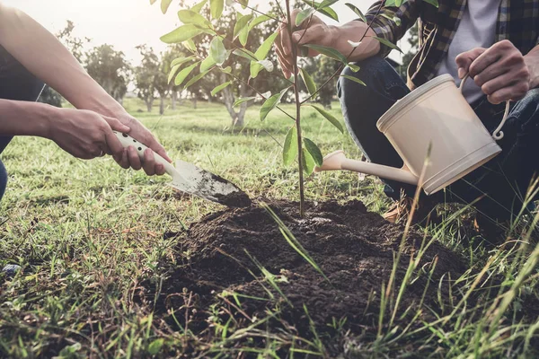 Pasangan muda menanam pohon sambil menyiram pohon yang bekerja di — Stok Foto