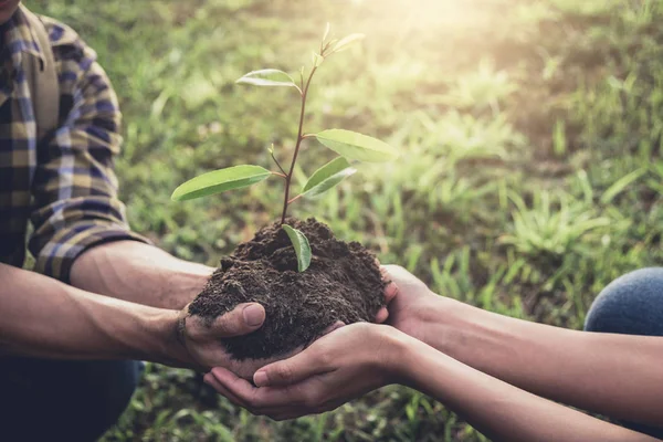 Young couple carrying a seedlings to be planted into the soil in — Stock Photo, Image