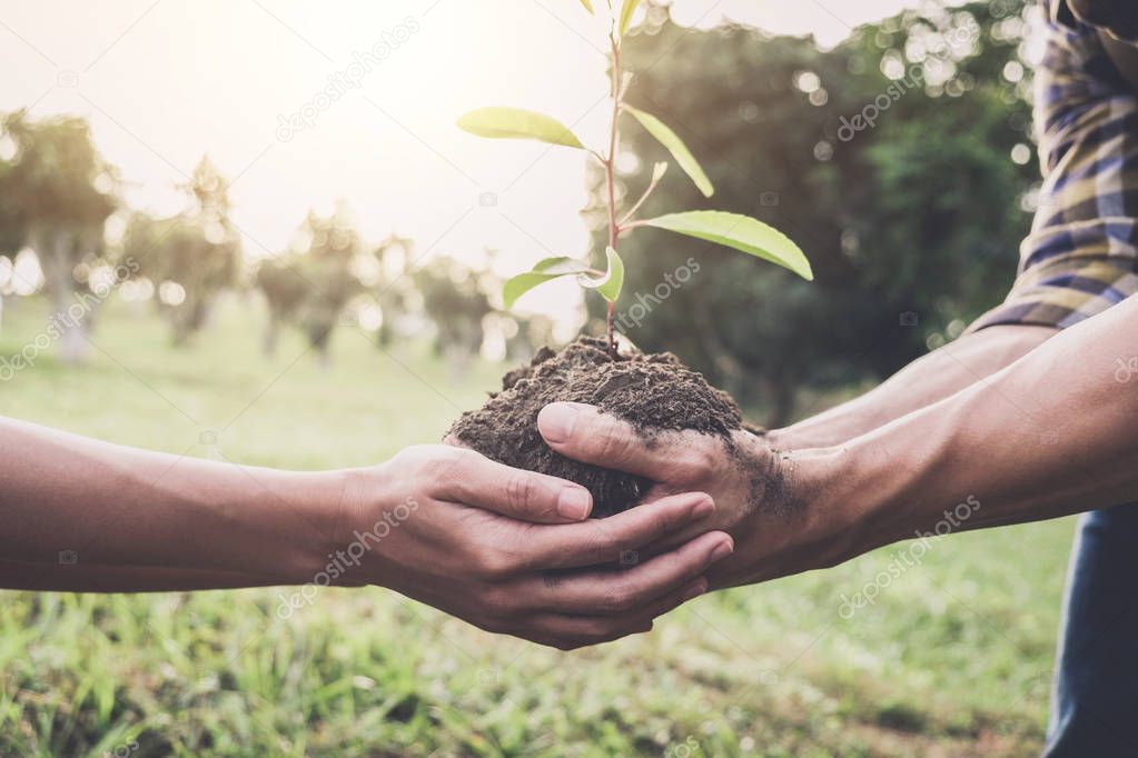 Young couple carrying a seedlings to be planted into the soil in