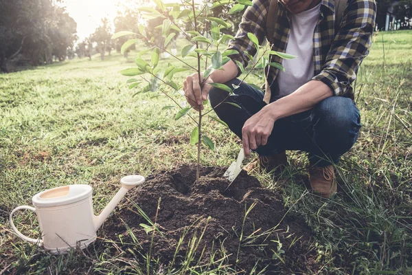 Giovane uomo piantare l'albero mentre innaffia un albero che lavora nel — Foto Stock