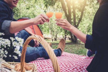 Aşık çift yaz piknik, eğlence, h a portakal suyu içmek