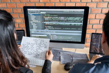 İki profesyonel programcı işbirliği ve web sitesinde çalışıyor 