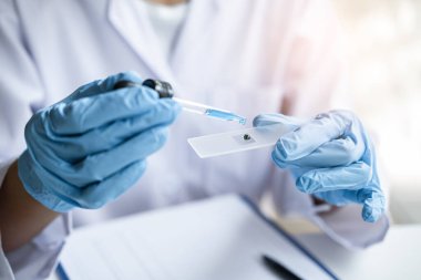 Laboratuvar önlüğündeki bilim adamı ya da tıp laboratuvar önlüğü içinde deney tüpünü reaktörle tutarken cam şişede reaksiyonları karıştırırken, kimyasal sıvı içeren camlar, laboratuvar araştırmaları ve mikroskop testleri....