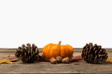 Sonbahar rustik arka plan 