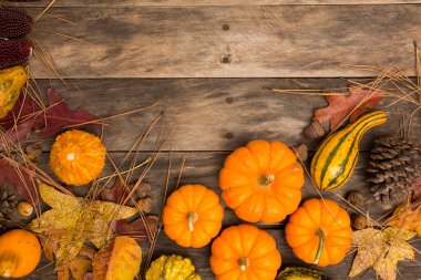 Sonbahar rustik arka plan 