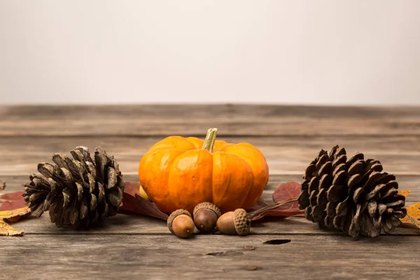 Fall rustic background — Stock Photo, Image