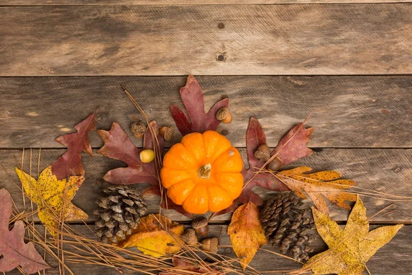 Fall rustic background — Stock Photo, Image