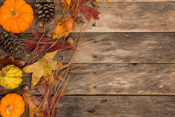 Fall rustic background — Stock Photo, Image