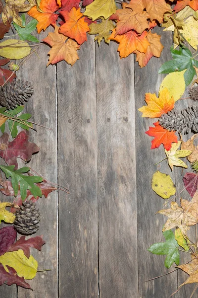 Fall seasonal wood table — Stock Photo, Image